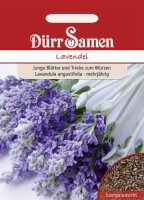 Lavendel Samen von Dürr Samen Lavendelsamen ca 100...