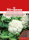 Blumenkohl Fremont F1 Blumenkohlsamen von Dürr Samen ca 50 Korn Kohlsamen