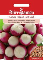 Radies Halbrot-Halbweiß Samen von Dürr Samen...