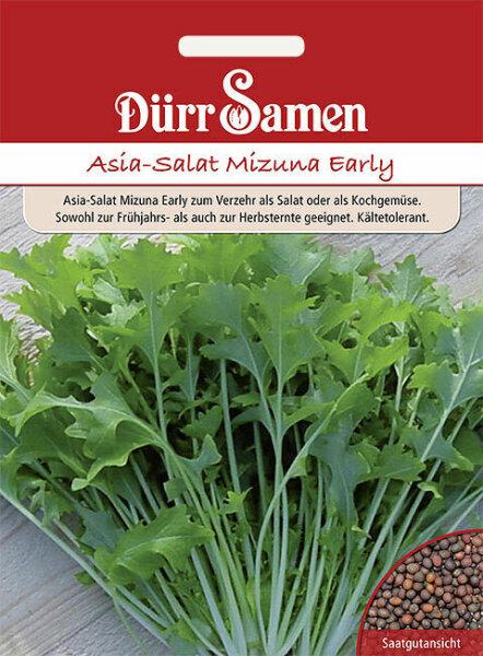 Asia-Salat Mizuna Early Salatsamen von Dürr Samen ca 500 Korn