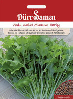 Asia-Salat Mizuna Early Salatsamen von Dürr Samen ca...