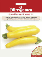 Zucchini Gold Rush F1 Samen von Dürr Samen Zucchini...