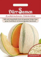 Zuckermelone Gandalf F1 Melonensamen von Dürr Samen...