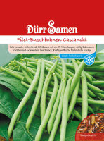 Filet-Buschbohnen Castandel Samen von Dürr Samen...