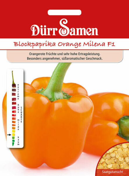 Blockpaprika Orange Milena F1 Samen von Dürr Samen Paprika ca 8 Korn